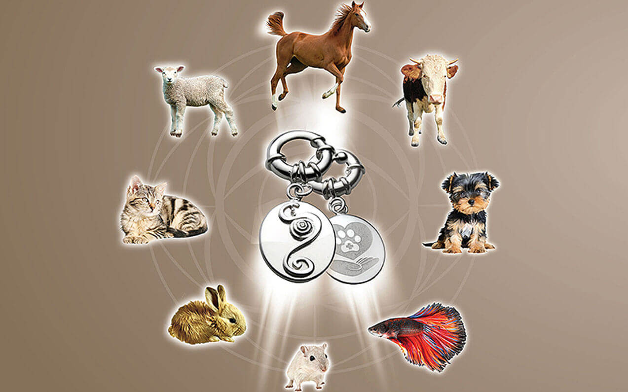 energy pendant for animals elenas 2 energy pendant for animals elenas 2